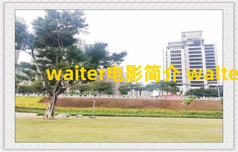 waiter电影简介 walter 电影